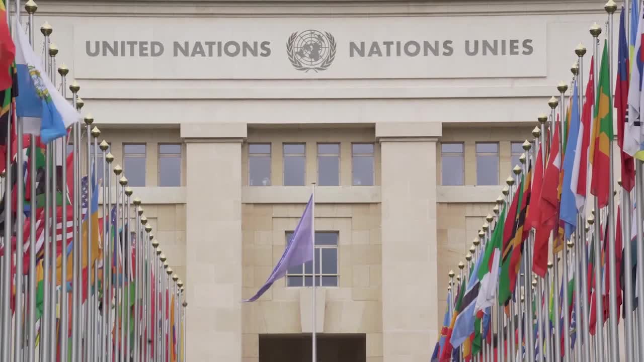 الامم المتحدة